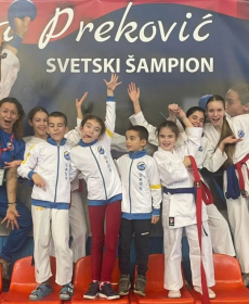 Aranđelovac Open