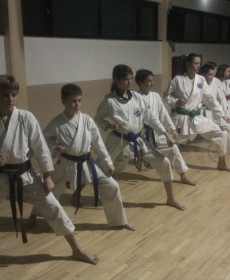 IMAG1629