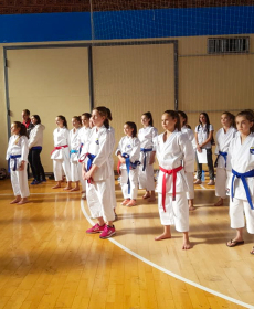 43880592_2297480363613482_3943897644182536192_n