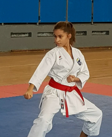 43951640_2297482176946634_687260317150871552_n