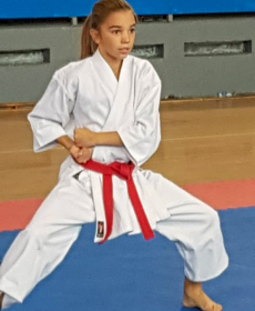 43951912_2297481293613389_914730503930642432_n