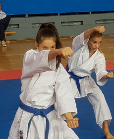 44028967_2297481093613409_6783532889888784384_n