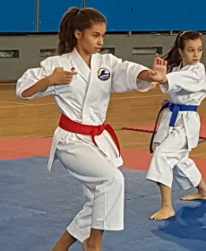 44031420_2297482310279954_319016126203822080_n