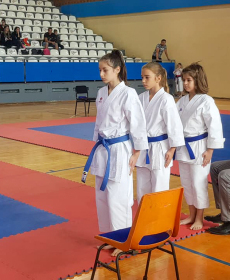 44035705_2297480463613472_5130642153684336640_n