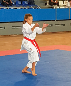 44045989_2297481940279991_3252812160438370304_n