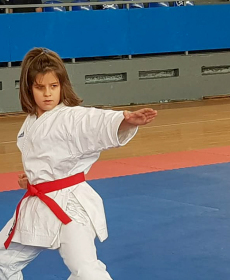 44065387_2297481600280025_979448527140683776_n