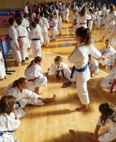 44073612_2297480226946829_3186988784445030400_n