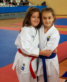 44077972_2297481670280018_7110453808911613952_n