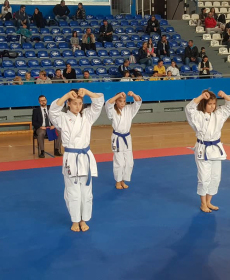 44148064_2297480940280091_4486371255120822272_n