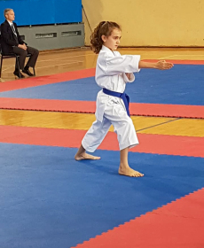 44208387_2297481536946698_6962171982867595264_n