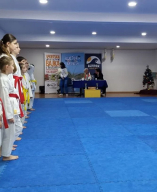 nipponci-polagali-za-zute-i-crvene-pojaseve-09