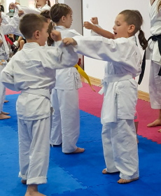 201503565_4582864741741688_814604556540316685_n