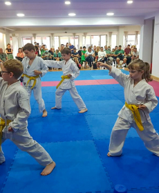 201986372_4582865598408269_8919442096108499446_n