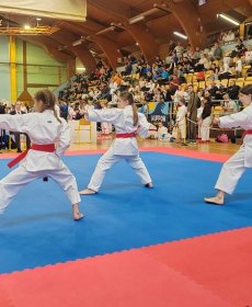 postojina-open-slovenija-12