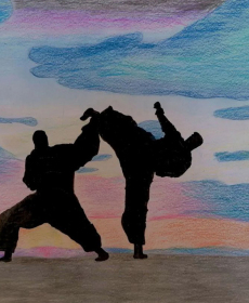 Radovi karate XXII Nippon Top Ten