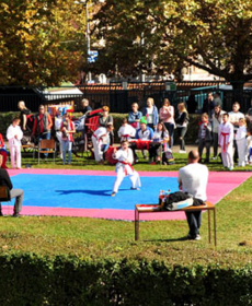 sportska-bajka-beo-zoo-vrt-10-2017-1-of-36