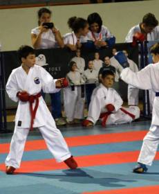 1488228_741315742563293_975333175_n