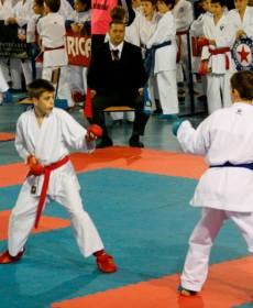 1501728_741313865896814_263852546_n