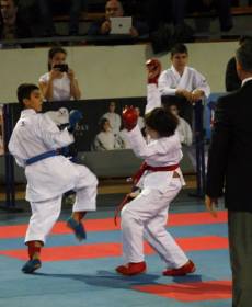 1506767_741313935896807_171381587_n