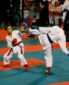 1507948_741316005896600_1320638458_n