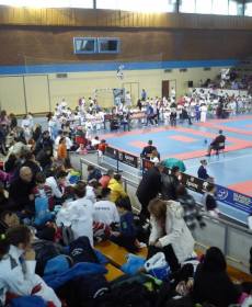 1513258_741320292562838_718146553_n