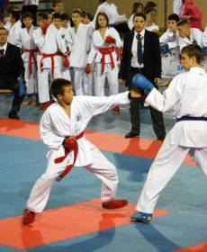 1513303_741313719230162_1938322742_n