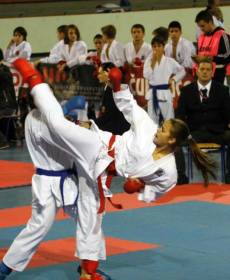 1521325_741315472563320_853426970_n