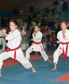 1525111_741318215896379_1185907970_n