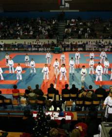 1525420_741313319230202_2034813048_n