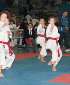 1526607_741318222563045_559651535_n