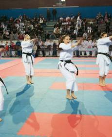 1528527_741319329229601_835652373_n