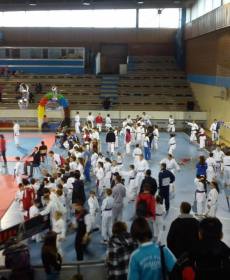 1535692_741320095896191_1326645540_n