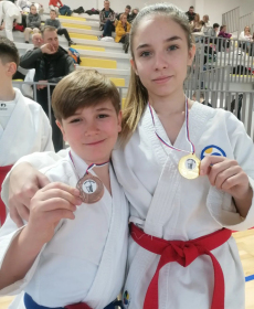 Trofej Kraljeva - Svetosavski Kup