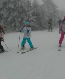 1528587_756213034406897_1880417475_n