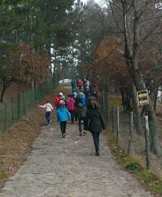 1531673_756207831074084_623849548_n