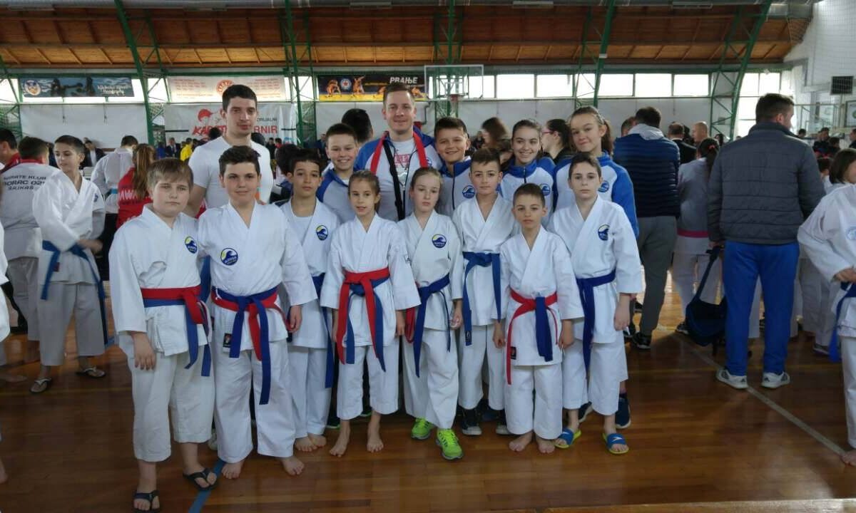 Trofej Zvezdare 2017.